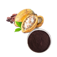 Poudre d'extrait de plante de Coca