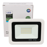 Lampu Sorot LED Sensor Gerak PIR 50W Guangzhou IP65 untuk Penerangan Lanskap dengan Deteksi Gerakan