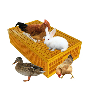 Caja de transporte de gallo de pelea de gran oferta, <span class=keywords><strong>jaula</strong></span> de transporte de aves de corral usada, <span class=keywords><strong>jaula</strong></span> de transporte de aves de corral de plástico - Product Image 5