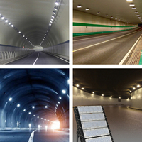 Tunnel de stades de sports de cour extérieure d'intense luminosité allumant Ip67 imperméable 50w 100w 150w 200w 300w a mené la lumière d'inondation