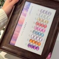 Kit de vernis à ongles gel effet œil de chat personnalisé avec logo, 15 ml, professionnel, haute qualité, kit de gel UV, couleurs, présentoir pour salon