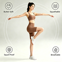 Fabricante de Shorts de Yoga con Logotipo Personalizado, Sin Costuras, Estilo Biker, Etiqueta Privada, Cintura Alta, Control de Abdomen, para Gimnasio y Entrenamiento