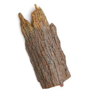 Hojas de plástico Cocoteros Palmera artificial gigante Palmera artificial Material de fibra de vidrio con corteza de palmera verdadera - Product Image 6