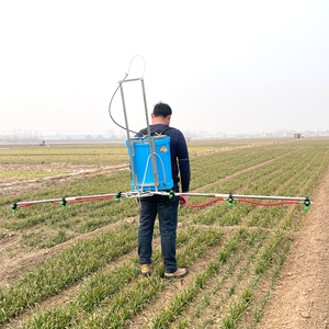 Spruzzatore Agricolo a Batteria Cinese, Pompa Spruzzatrice a Zaino per Agricoltura - Product Image 2