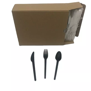 Muỗng Có Thể Phân Hủy 6 Inch Một Lần Muỗng PLA Có Thể Phân Hủy Tùy Chỉnh Muỗng Tráng Miệng Dùng Một Lần Thân Thiện Với Môi Trường - Product Image 6