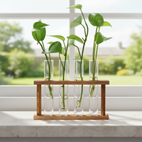 Récipient en verre pour plante d'air de bureau vintage avec support en bois porte-vase en verre décoratif pour bureau à domicile