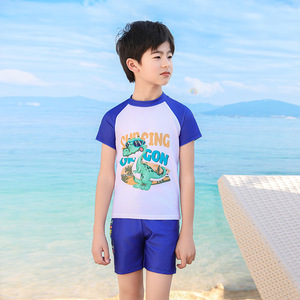 Maillot de bain deux pièces pour garçons, séchage rapide, motif dinosaure de dessin animé, pour la natation et les sports nautiques, taille enfant moyenne et grande - Product Image 2