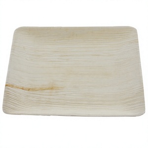 Plateau de service jetable <span class=keywords><strong>en</strong></span> feuille de palmier, 14 x 10 pouces, léger, imperméable, compostable, pour le camping, biodégradable, respectueux de l'environnement - Product Image 1