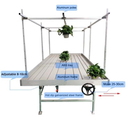 Système de table d'inondation pour banc roulant 4x8 à effet de serre hydroponique pour intérieur