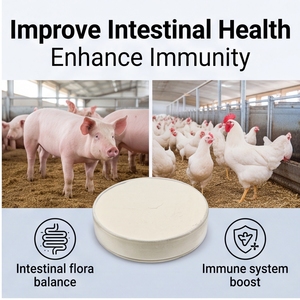 Prévenir la salivation des volailles due aux mycotoxines Améliorer la santé intestinale Immunité animale Enzyme dégradante des mycotoxines Agent liant les mycotoxines - Product Image 4