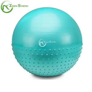 ZHENSHENG Großhandel yoga ball gym yoga ball übung gym yoga ball