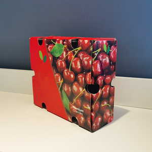 Vente en gros Boîtes d'emballage de tomates en carton ondulé personnalisées pour emballage de cerises