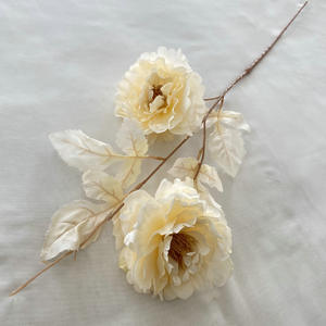 ชุดอุปกรณ์ตกแต่งบ้านแถวดอกไม้สำหรับงานแต่งงานแบบชาวยุโรปดอกไม้ผ้าไหมจำลองสีแชมเปญสำหรับงานรับปริญญา - Product Image 6