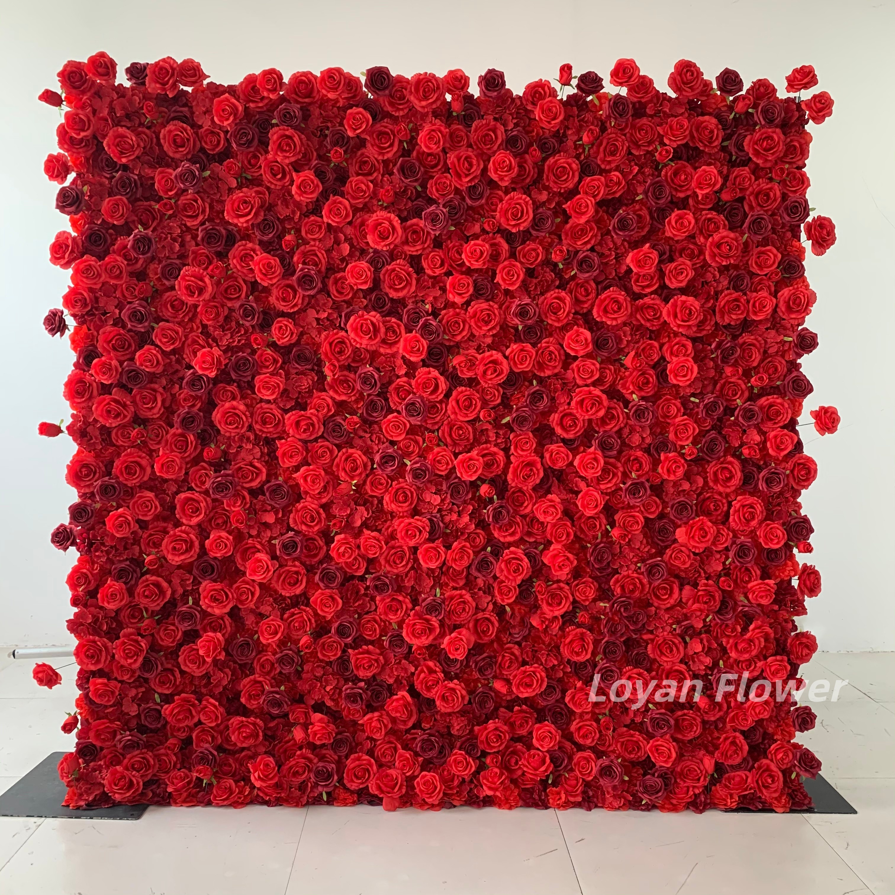 rojo -2
