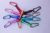 Promotion : Mini mousqueton en alliage d'aluminium avec logo personnalisé, lampe torche LED, porte-clés, lampe de poche étanche, cadeau de camping