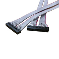 Cavo a nastro Dupont 2.0 personalizzato a 4-12 vie, a 2 file, con cavo piatto in rame, isolato in PVC, classificato IP68, per moto, DC30V