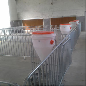 Cages pour animaux d'engraissement galvanisées par immersion chaude conçues spécifiquement pour les truies d'engraissement - Product Image 3