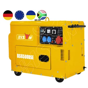 Nouveau Style de secours électrique démarrage automatique générateur Diesel Portable pas cher 5Kva 6Kva 7Kva