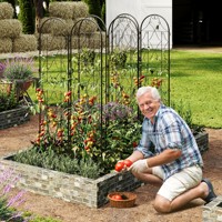 Treillis de jardin en métal pour plantes grimpantes, support en fer avec crochets de suspension pour roses et tomates – Vente en gros