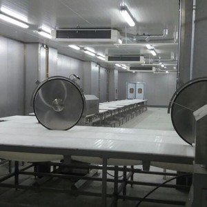 Đi Bộ trong thiết bị đóng băng phòng lạnh nhiệt độ thấp phòng lạnh cho hậu cần lớn kho lạnh phòng - Product Image 3