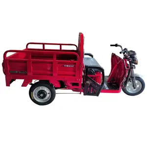 1000W moteur électrique Van Cargo Tricycle 3 roues véhicule électrique moto Trike