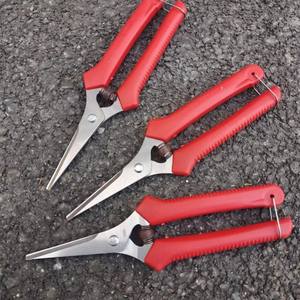 กรรไกรตัดแต่งกิ่งไม้พุ่มวิสทีเรีย ใบมีดสแตนเลส ปากตรง ด้ามจับสีแดง แบบบายพาส เครื่องมือทำสวน - Product Image 3