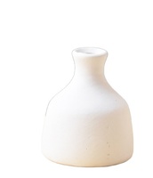 Pot de plante succulente blanc bricolage Vase en biscuit en céramique pour la décoration de jardin enfants peinture