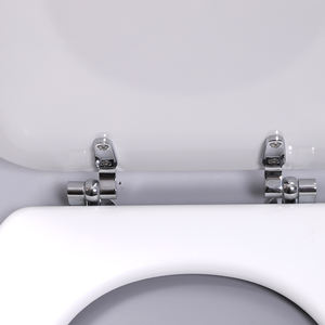 Sedile WC per Bambini BSCI da 17 Pollici, Biodegradabile, Personalizzato, in Legno Stampato FSC, Igienico, con Fronte Chiuso - Product Image 5