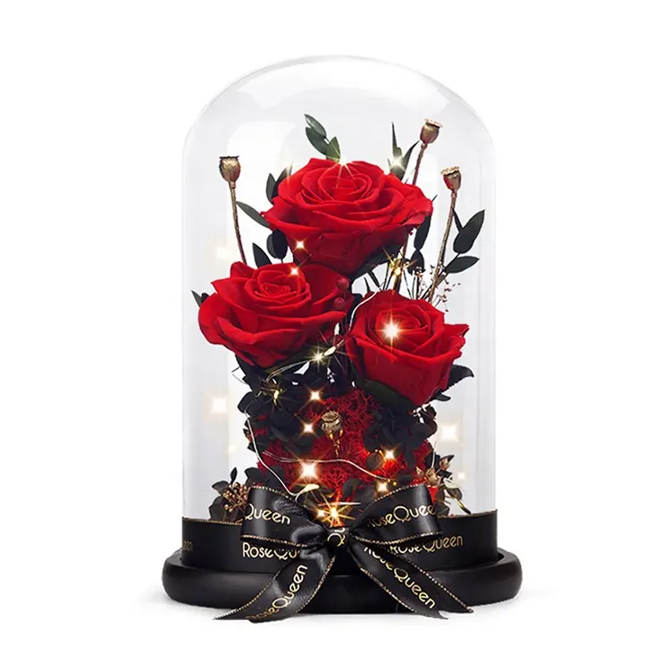 summer flora Luxury roses real everlasting rose preserved flower for Valentine Anniversary Christmas Gift roses in glass dome