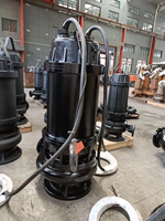 Aikon 3HP Pompe submersible monophasée pour eaux usées de conception compacte Utilisation dans le sous-sol pour l'élimination des liquides Matériau en acier inoxydable et en fonte