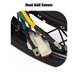 Moteur de conversion pour vélo électrique tout-terrain <span class=keywords><strong>QS</strong></span> Fullshun <span class=keywords><strong>QS</strong></span> V3 <span class=keywords><strong>273</strong></span> 8000W pour véhicule électrique à moteur central 12KW - Product Image 4