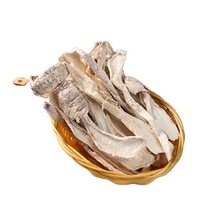 9020 Xing BaoGu高品質乾燥Pleurotus eryngii食用キノコKing Oyster Funghi