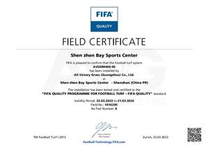 <span class=keywords><strong>AVG</strong></span> migliore qualità 7-a-side campo da calcio all'aperto con Futsal calcio professionistico erba di calcio per la formazione - Product Image 6