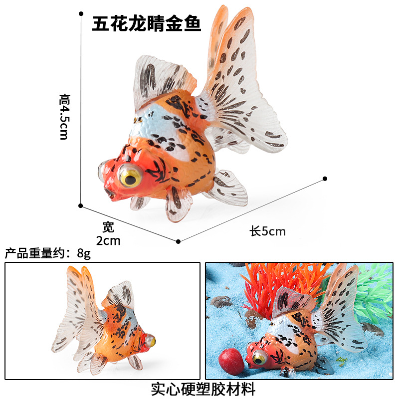 M-3111 Dragon Eye Goldfish