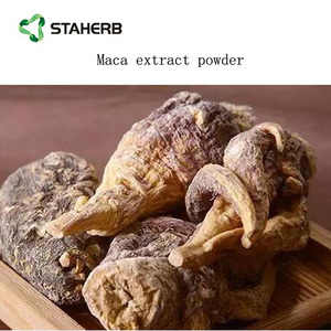 Maca Bột Maca chiết xuất từ rễ Đen Maca chiết xuất từ rễ - Product Image 4