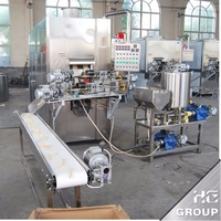 Machine automatique à faire des rouleaux d'œufs HG 60 kg/h en acier inoxydable 304 pour les magasins d'alimentation avec équipement de formage