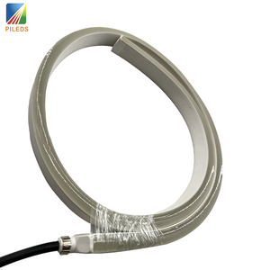 Bande Led étanche IP68, 12/24V, rouge, bleu, ruban lumineux 5050, 2835, 120Led/m, <span class=keywords><strong>Tube</strong></span> en Silicone, décoration de la maison, néon - Product Image 3