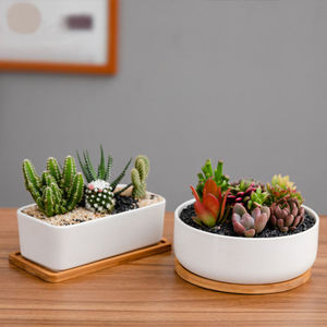 Mini <span class=keywords><strong>pot</strong></span> de fleur succulente en céramique blanche et outils de plantation <span class=keywords><strong>pot</strong></span> <span class=keywords><strong>rectangulaire</strong></span> simple avec plateau en <span class=keywords><strong>bambou</strong></span> - Product Image 3