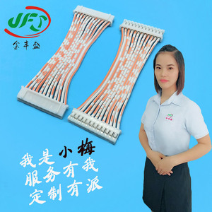 Jinfengsheng Ph2.0 Terminal Wire 20080 Motor Connection Cable Custom Length Lighting Electronic Wiring Harness - Product Image 1