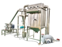 WLM Automatische Zeewier Gedroogd Fruit Groenten Bladeren Maalmachine Pulveriseermachine Luchtclassificatierafinemer