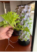 Serre intelligente à faible coût tour verticale aéroponique systèmes de culture hydroponique de jardin à vendre