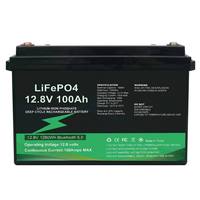 Batterie LiFePO4 12,8 V 100 Ah 1280 Wh à cycle profond 6000 cycles rechargeable avec BMS intégré IP67 Bluetooth pour solaire, VR, marine, UPS