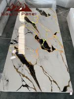 Panneau mural en marbre pour maison de luxe le plus vendu WYC