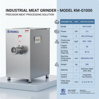 Broyeur de viande congelée et fraîche commercial JR-120, machine industrielle de traitement de la viande, acier inoxydable 304, 1t/h pour boucher