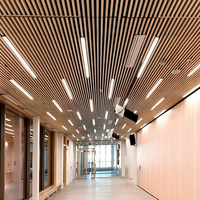 Plafond à lattes en aluminium, grain de bois, ignifuge, imperméable, design moderne pour villa, appartement, restaurant, métal durable, linéaire