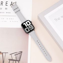 Gray + silver buckle