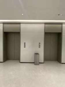 Ascenseur domestique de qualité supérieure, économie d'énergie, installation facile, ascenseur résidentiel pour villa - Product Image 5