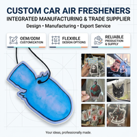 Carte de stationnement temporaire en gros pour usine - Accessoire automobile en plastique au design de luxe