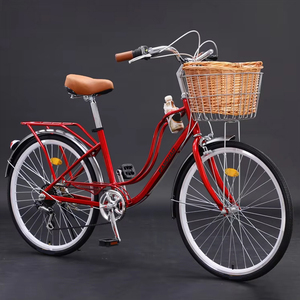 Vélo de ville utilitaire pour femme 2025 – Qualité supérieure – Prix usine - Product Image 3