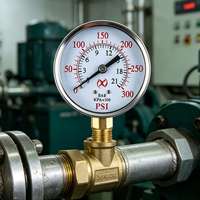 Manomètre anti-vibrations avec boîtier en acier inoxydable, cadran en alliage de cuivre, fixation radiale et axiale pour systèmes de pipeline industriels